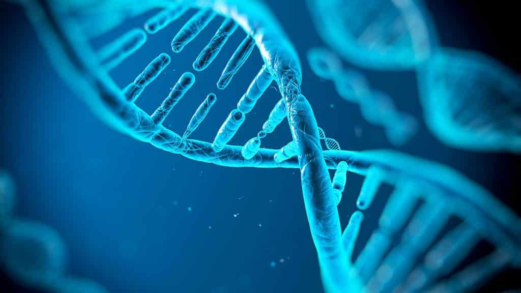 Los españoles son los europeos con más genes del Magrebís Los españoles son los europeos con más genes del Magrebís 1