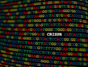C.R.I.S.P.R.: Edición De Genes 2