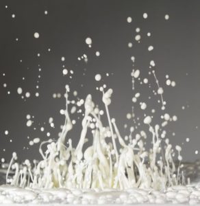 Las 6 materias más extrañas que no creerás que existen 3