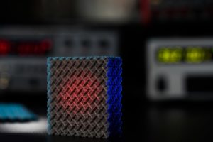 Las 6 materias más extrañas que no creerás que existen 4