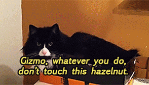 14 cosas que definitivamente no debes tocar 16