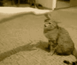 14 cosas que definitivamente no debes tocar 6