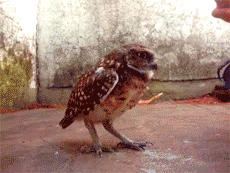 14 cosas que definitivamente no debes tocar 8