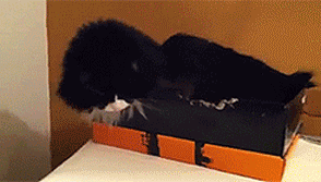 14 cosas que definitivamente no debes tocar 17