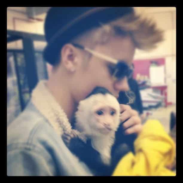 Mally, el mono capuchino de Justin Bieber, es retenido en el aeropuerto de Múnich 4