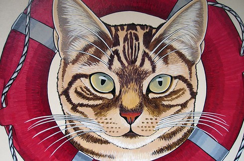 8 destinos perfectos para cualquier amante de los gatos