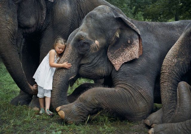 La fotógrafa Robin Schwartz muestra la conexión de su hija con animales de todo tipo 7