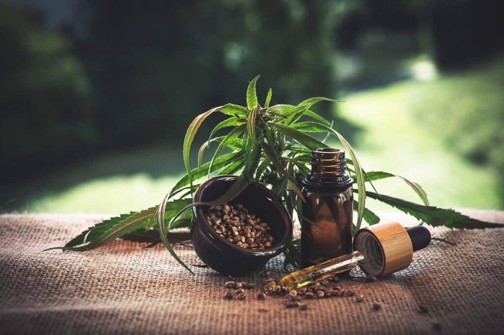 Aceite de cannabis 17 formas de usarlo Aceite de cannabis 17 formas de usarlo 1