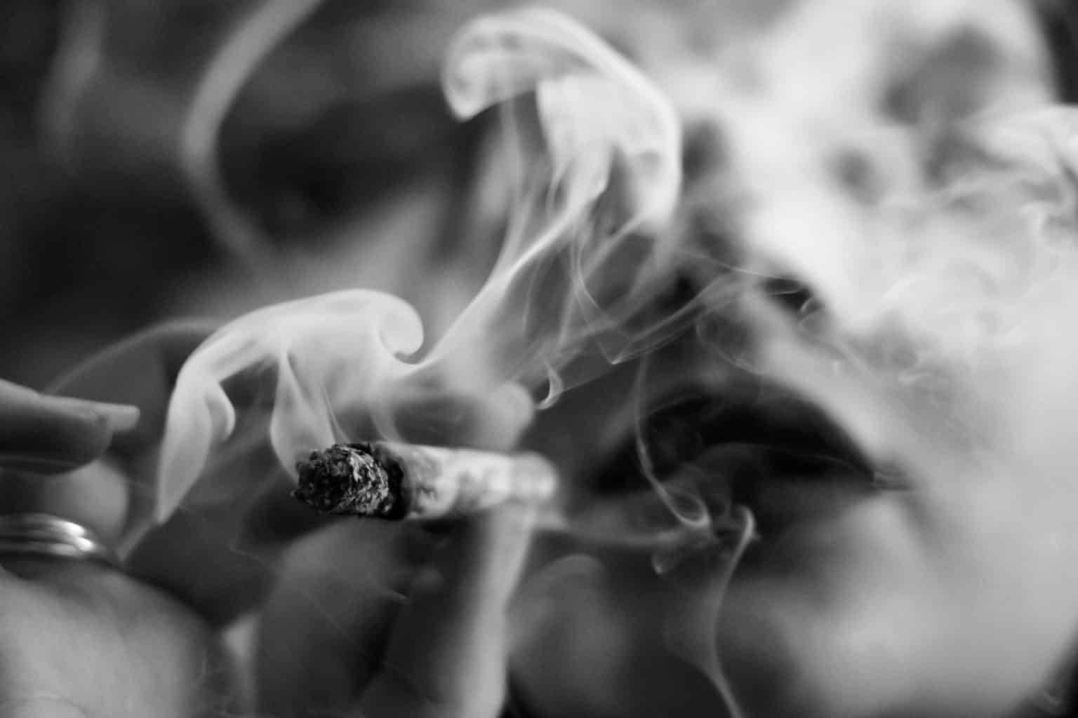 La Historia del Tabaco – Desde América para el Mundo person holding cigarette