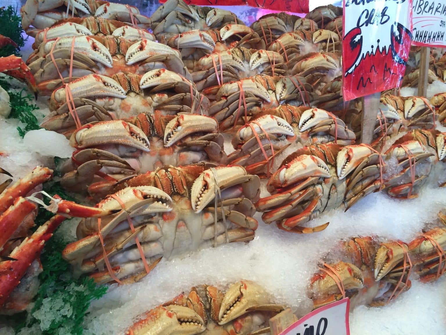 orange crabs
