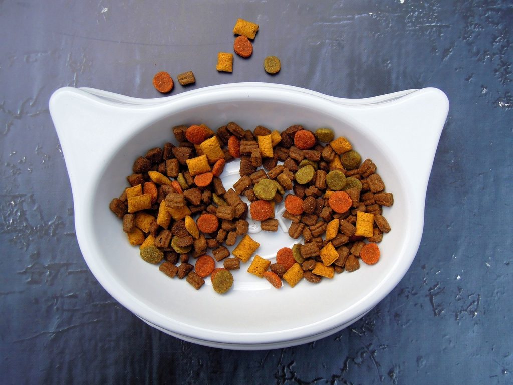 Guia de alimentacion para gatos pienso gatito