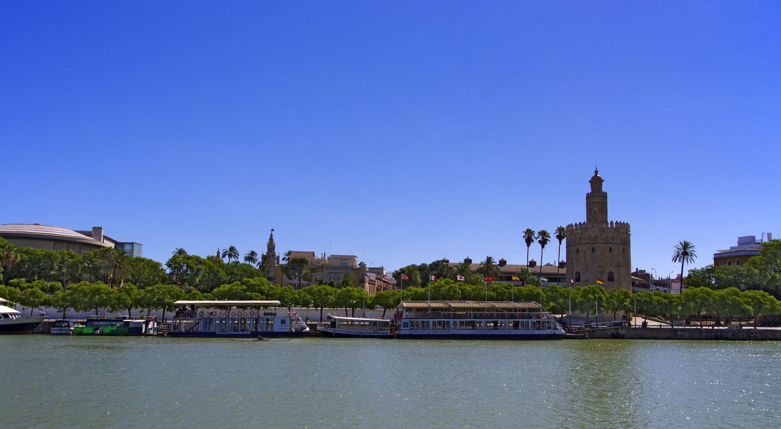 Descubre el Mundo de las Ilusiones en el Museo de Sevilla 1