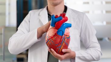 Aneurisma de aorta: Todo lo que debes saber 6